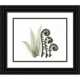 thumbnail image 1 of Koetsier, Albert 32x26 Black Ornate Wood Framed with Double Matting Museum Art Print Titled - Tree and Fiddle Fern in Green, 1 of 4
