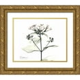 thumbnail image 1 of Koetsier, Albert 32x26 Gold Ornate Wood Framed with Double Matting Museum Art Print Titled - Bounaidia in Bloom, 1 of 4