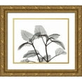 thumbnail image 1 of Koetsier, Albert 32x26 Gold Ornate Wood Framed with Double Matting Museum Art Print Titled - Lemon Balm  in BandW, 1 of 4