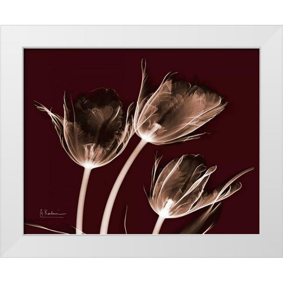 Koetsier, Albert 32x26 White Modern Wood Framed Museum Art Print Titled - Crimson Tulips
