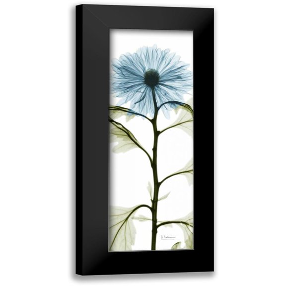 Koetsier, Albert 7x14 Black Modern Framed Museum Art Print Titled - Long Blue Chrysanthemum