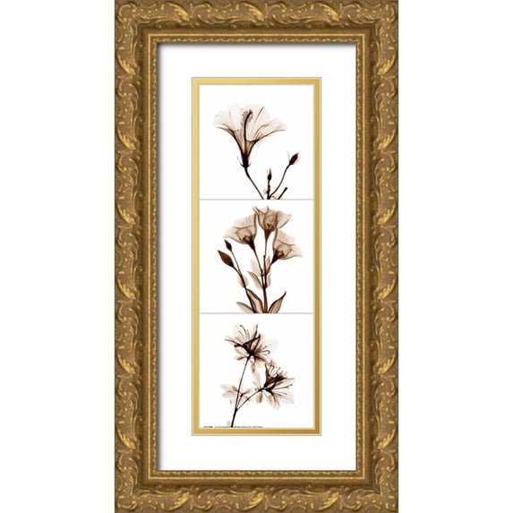 Koetsier, Albert 7x14 Gold Ornate Wood Framed with Double Matting Museum Art Print Titled - Sepia Floral Tryp Tych I