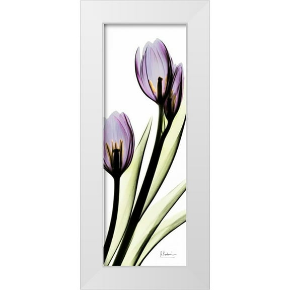 Koetsier, Albert 7x14 White Modern Wood Framed Museum Art Print Titled - Tulip in Purple