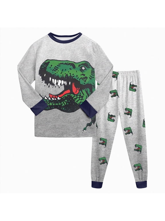 Boys Dinosaur Pajamas Set Long Sleeve T-Rex Print 2 Piece Soft Cotton Sleepwear for Toddler Kids 2T 3T (Grey,2-3 Years)