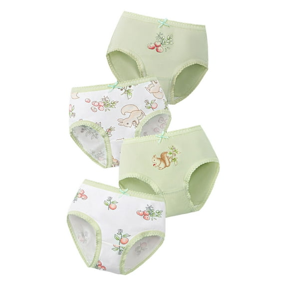 Kogui Girls Underwear Brief Soft Underwear Toddler Girls'Briefs Soft Undies Panties 3 Pack,Size 2T 3T(Green,6-7 Years)