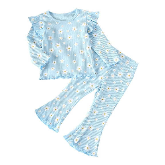 Kogui Toddler Fall Girl Clothes Toddler Girl Clothes Outfits Cute Long Sleeves Top and Pants Sweatsuit 2 Piece Fall Clothing Set Size 2T 3T (Sky Blue,2-3 Years)