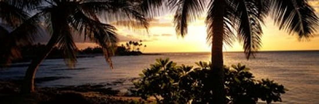 Kohala Coast Hawaii USA Canvas Art - Panoramic Images (18 x 6)