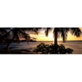 thumbnail image 1 of Kohala Coast Hawaii USA Poster Print by  - 36 x 12, 1 of 1
