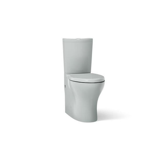 Kohler 6355-95 Elongated Toilet with Skirted Dual-Flush Trapway - Ice Gray - 2 Piece