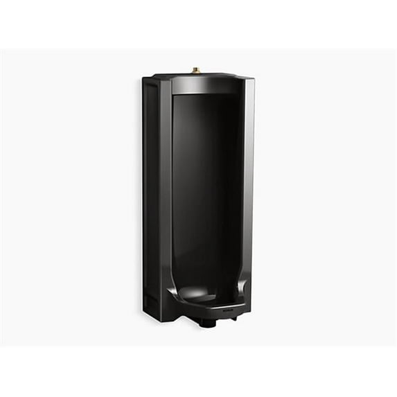 Kohler K-25039-T Branham Full Stall Washdown Urinal - Black