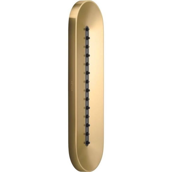 Kohler K-26300-G Statement Single Function Oval Metal Body Spray - Vibrant Brushed Moderne