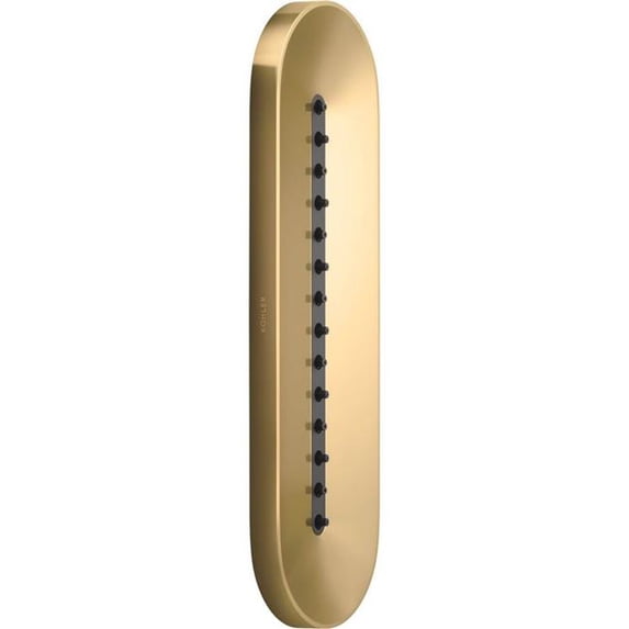 Kohler K-26300 Statement Single Function Oval Metal Body Spray - Vibrant Brushed Moderne