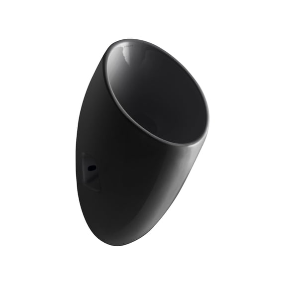 Kohler K-4917 Steward S Waterless Urinal - Black