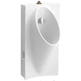 thumbnail image 1 of Kohler Steward Hybrid High-Efficiency Urinal With 3/4 In. Top Spud, White, 1 of 1