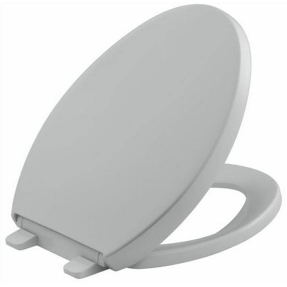 Reveal Quiet-Close Elongated Closed Front Toilet Seat with Grip-Tight Bumpers in Ice Grey
