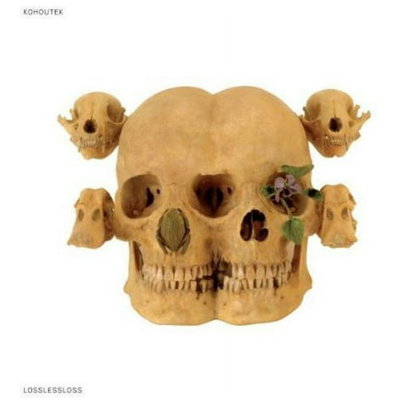 Kohoutek - Lossless Loss - Music & Performance - Vinyl