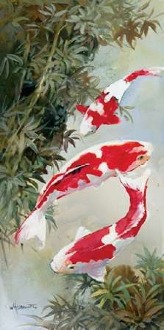 Koi 1 Canvas Art - Willem Haenraets (10 x 20)