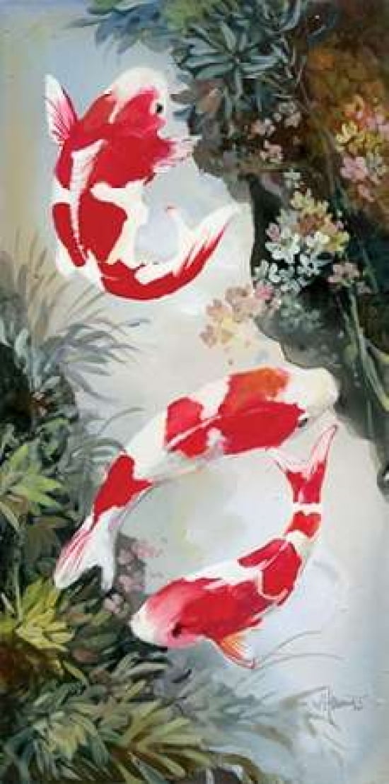 Koi 3 Canvas Art - Willem Haenraets (10 x 20)