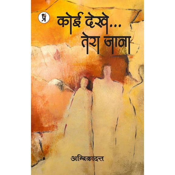 Koi Dekhe...Tera Jana, (Paperback)