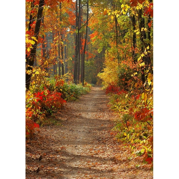 Kojanyu Dreamlike Vinyl Wall Floor Photography Studio Prop Backdrop Background 3X5Ft C Clearance Items Clearance Under 10