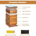 thumbnail image 1 of Kojooin 10 Frame Bee Hive Kit, Bee Hive Boxes Beeswax Coated Beehive Kit with Beehives Frames and Wax Foundations for Beekeepers (2 Deep Box & 1 Medium Super), 1 of 8