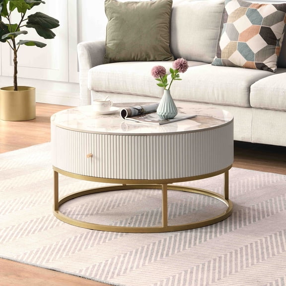 Kojooin 31.5" Round Coffee Table, Modern Side Table With 2 Drawers & Metal Legs, Round Sofa Table With Marble Pattern Sintered Stone Tabletop For Living Room Reception Room
