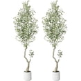thumbnail image 1 of Kojooin 7ft Tall Faux Olive Tree,Faux Olive Tree with White Planter and Green Fake Moss,2 Pack, 1 of 6