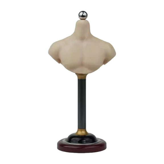 Kokiya 1/6 Half Bust Base Stand Accessories for Photographing Exhibition Collection 15.3cm