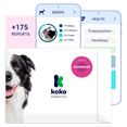 thumbnail image 1 of Koko DNA Test for Dogs | Advanced Range | 175 Breeds, Health & Traits Reports | All Fees Included, 1 of 10