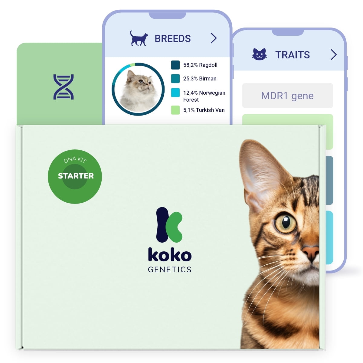 Koko Genetics DNA Test for Cats | Starter Range | Breeds & Traits Reports | All Fees Included