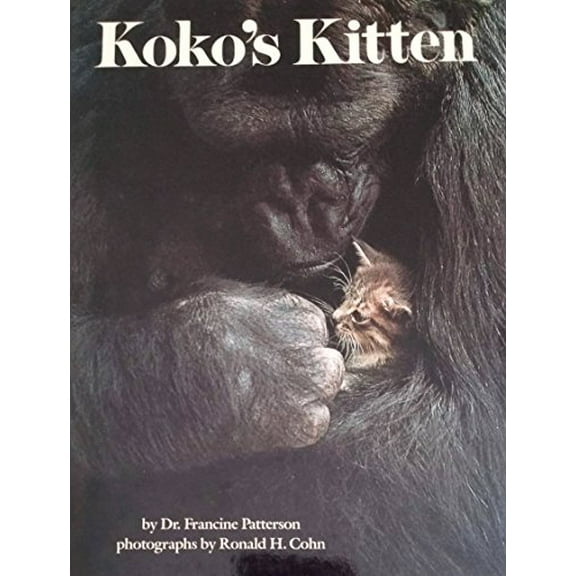 Pre-Owned Koko's Kitten (Unknown) 0590409522 9780590409520