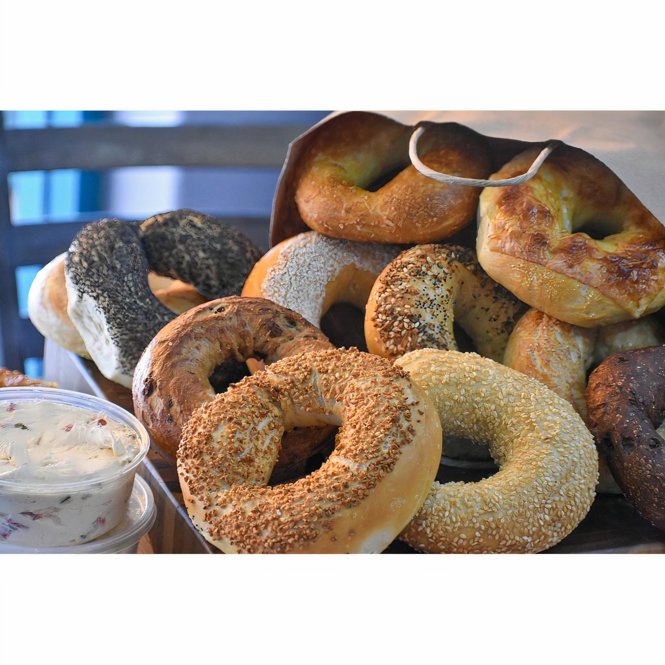 Kokobelli Bagel Cafe Onion Bagel