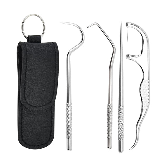 Kokovifyves Stainless Steel toothpicks Kit, Premium Teeth Cleaning tools, Reusable tooth Picks Set, Pocket Keychain Portable Metal toothpicks Holder for Travel