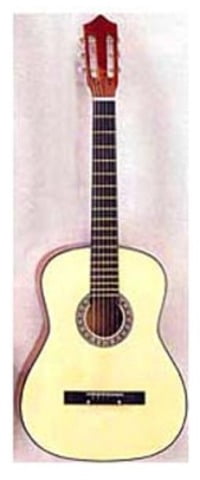 Acoustic Guitar