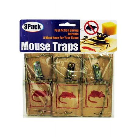 Kole Imports HZ001-48 1.75 x 3.75 in. Mouse Traps Set - Pack of 48