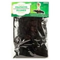 thumbnail image 1 of Kole Imports SC441-90 Black Craft Feathers - Pack of 90, 1 of 1