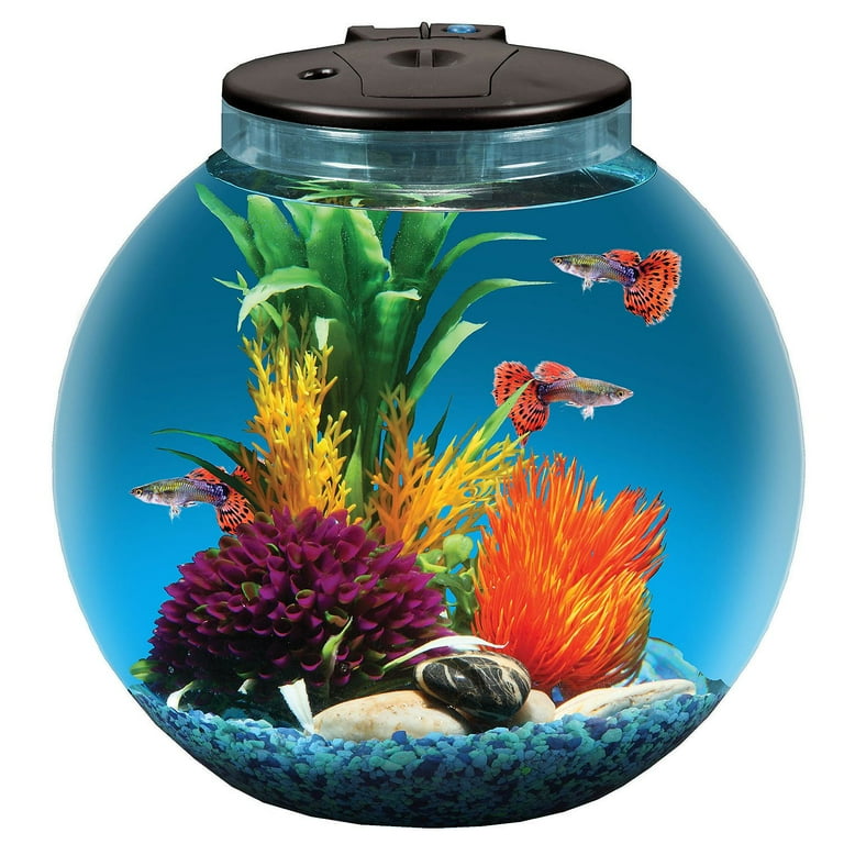 Fish filter walmart online