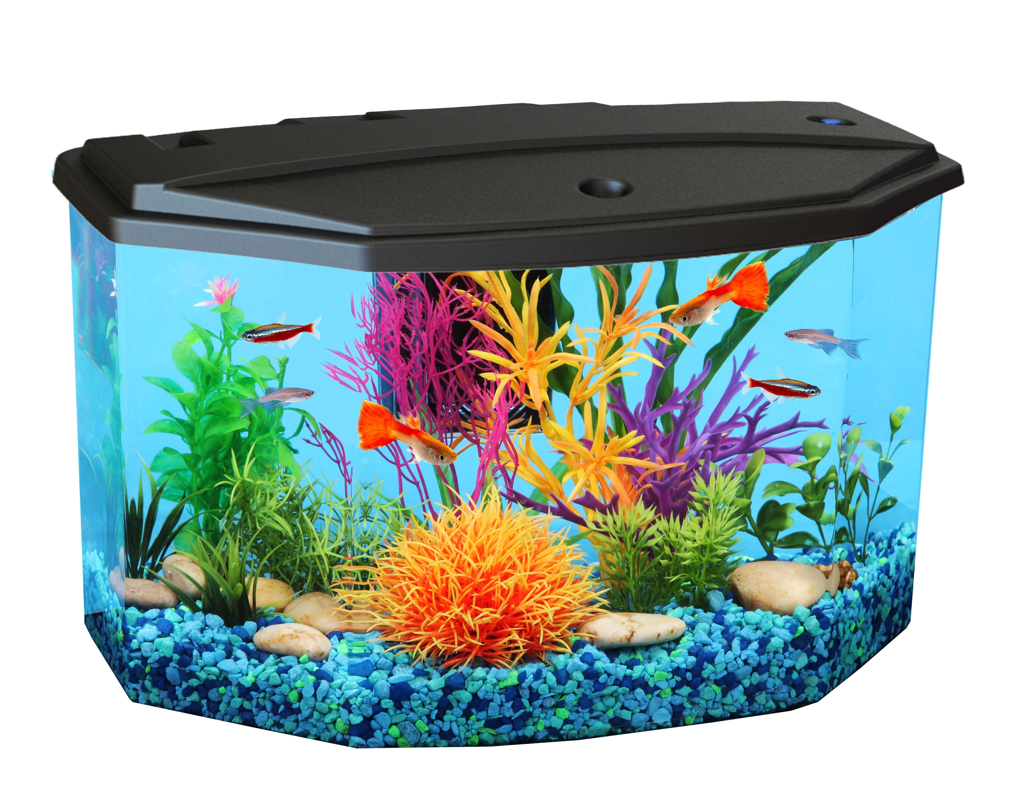 KollerCraft 3-Gallon Aquarium with LED Lighting and Jordan