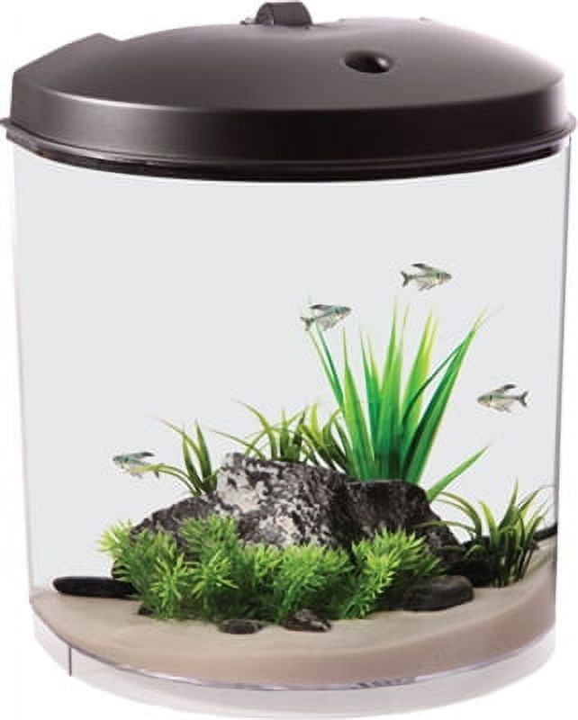 3.5 gallon fish tank 2025