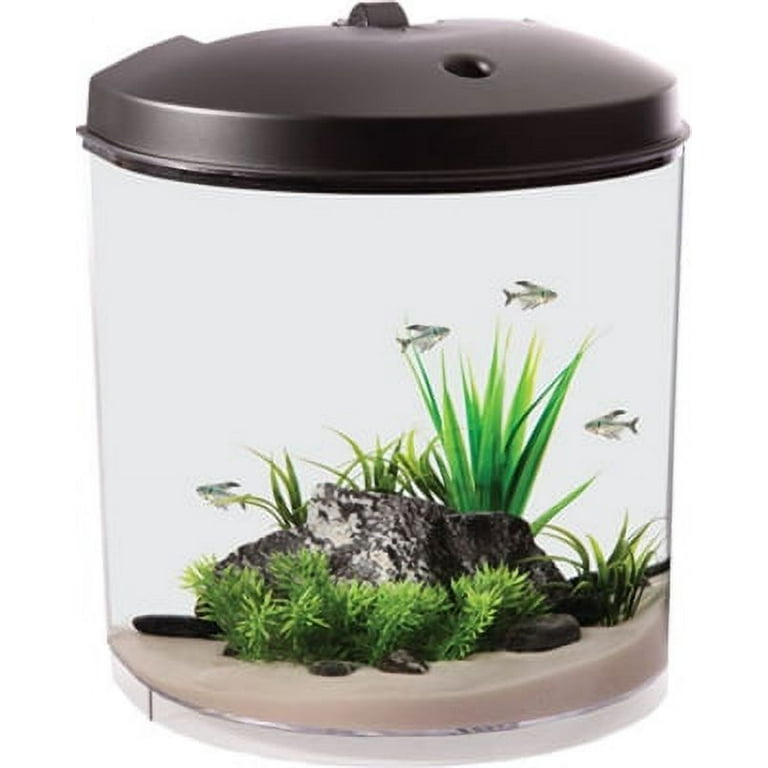 3.5 gallon top fish tank