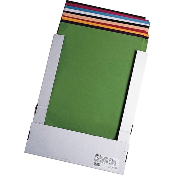 KolorFast Tissue Project Box - Wrapping, Artwork, Gift - 30"Height x 20"Width - 240 / Pack - Assorted | Bundle of 2 Packs