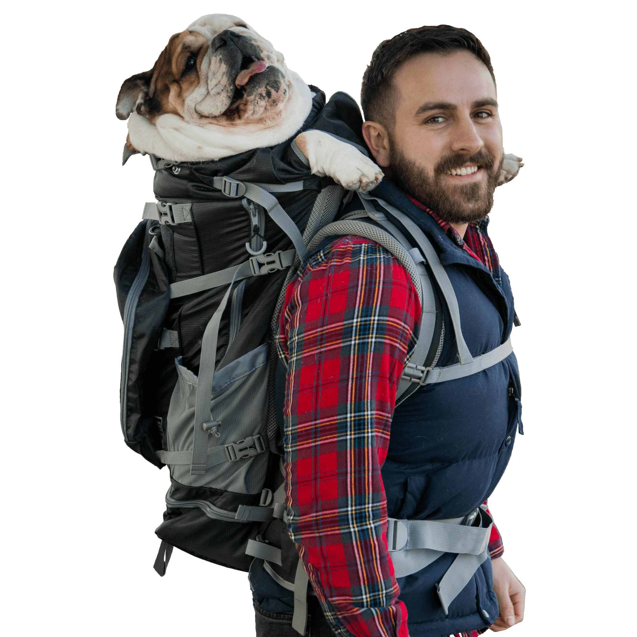 Kolossus Big Dog Carrier Backpacking Pack Walmart