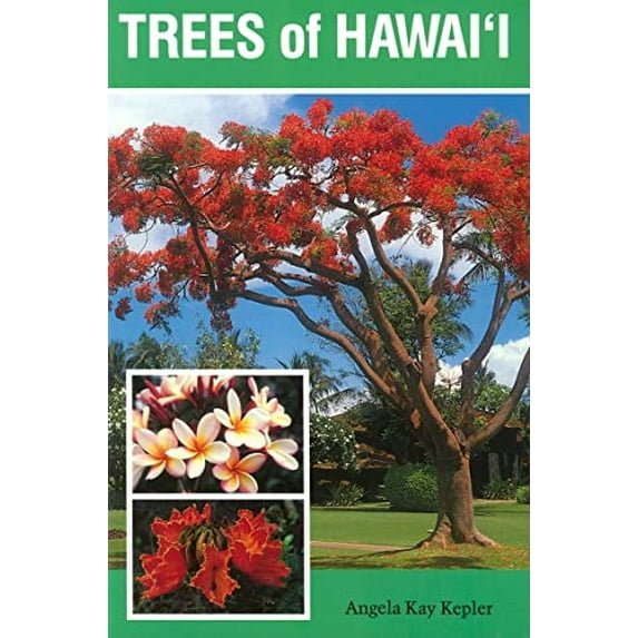 Pre-Owned Trees of Hawai'i (Paperback) 0824813294 9780824813291
