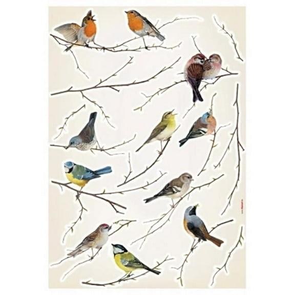 Komar Living Birds European Wall Decals