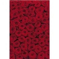 Komar Roses Wall Mural