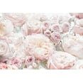 thumbnail image 1 of Komar Spring Roses Wall Mural, 1 of 2