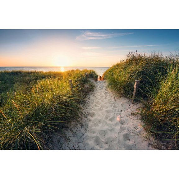 Komar Way to the Beach Wall Mural