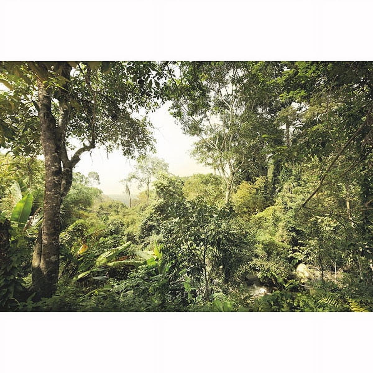 Komar Tropical Green Non-Woven 4-Panel Wall Mural