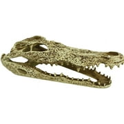 Komodo Alligator Skull Terrarium Decoration [الزواحف ، أماكن الاختباء] عدد واحد