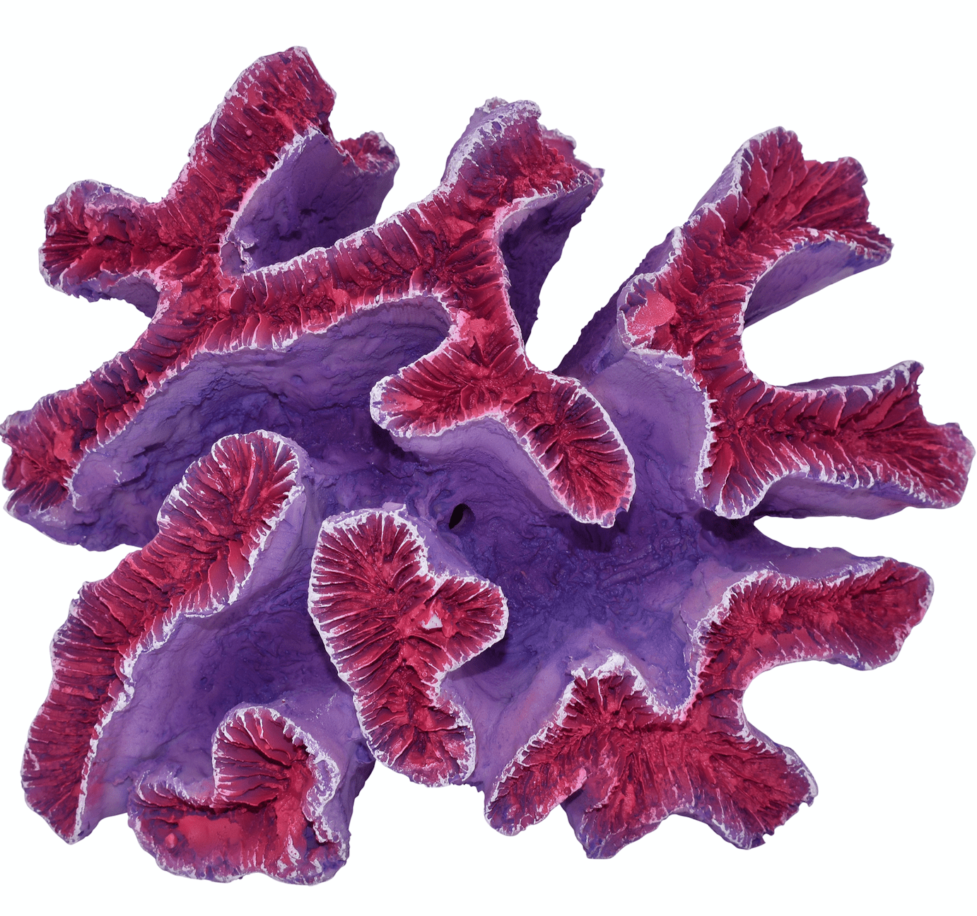 Komodo Curly Pink and Purple Coral Ornament, Aquarium Decor